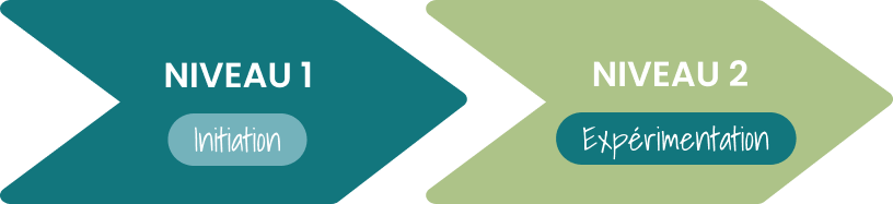 niveau1-niveau2